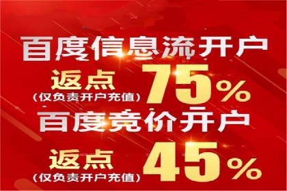 百度竞价排名案例：实战解析如何抢占市场先机